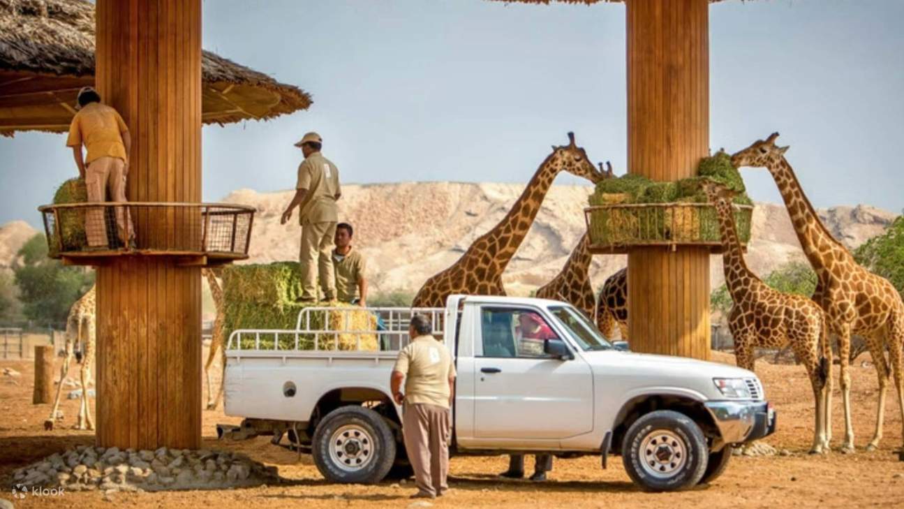 Al Ain Zoo: A Perfect Blend of Nature, Education, and Conservation