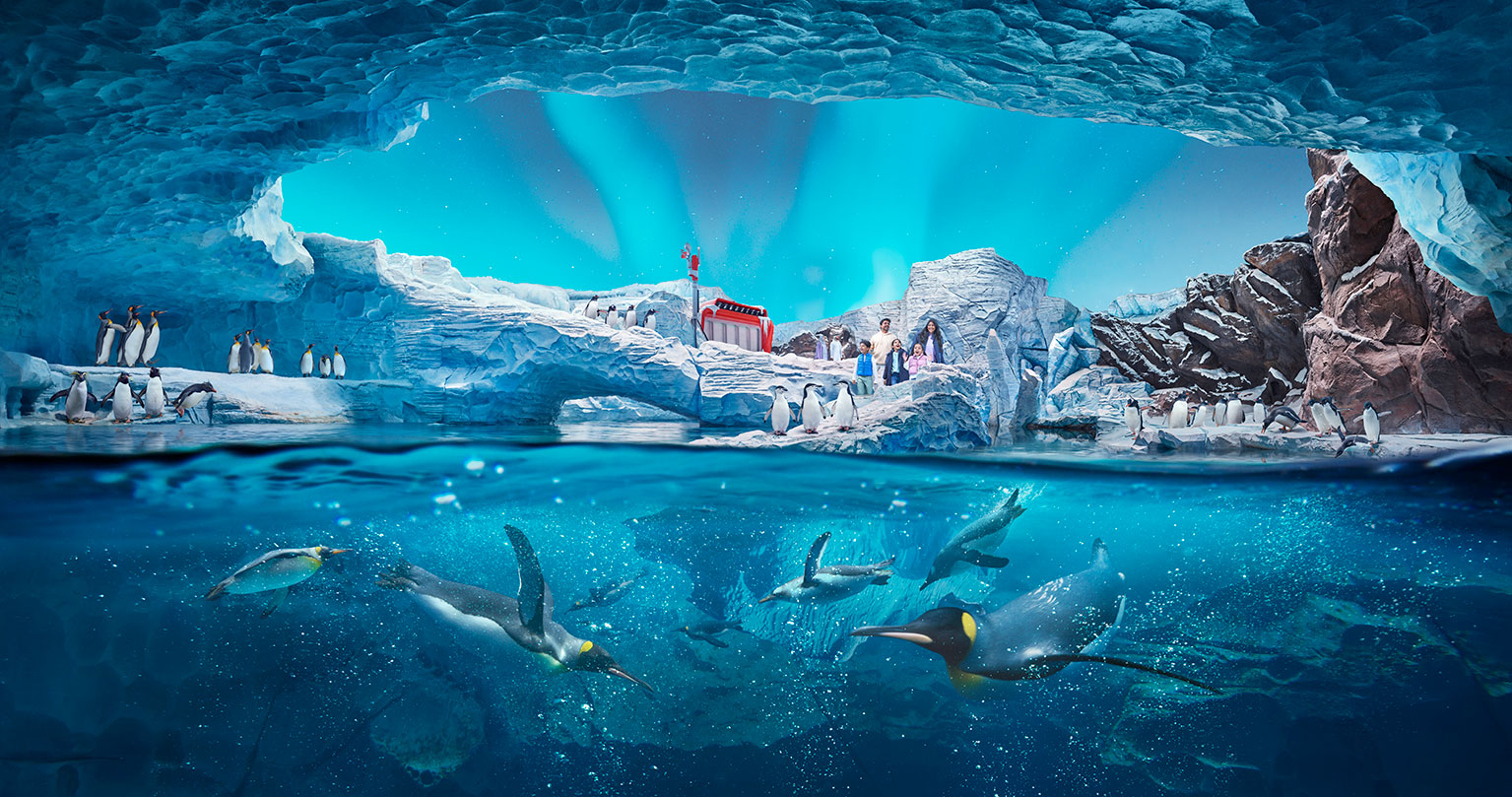 SeaWorld Abu Dhabi: Redefining the Future of Aquatic Theme Parks and Conservation